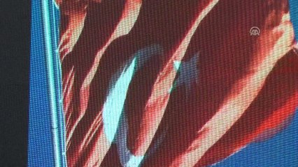 İstanbul'dan yola çıkan 'Balkan Kervanı' Makedonya'da - ÜSKÜP