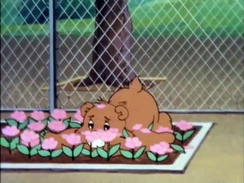 Care Bears Dic 08 The Show Must Go On