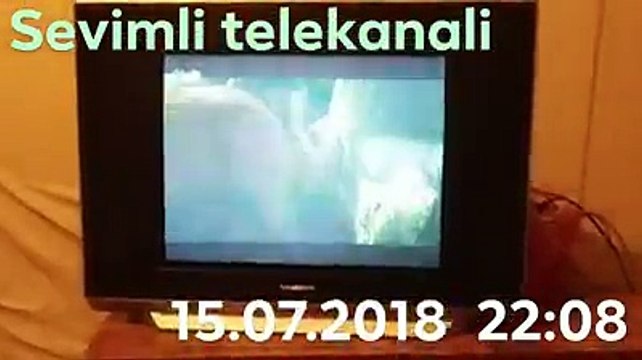 В эфире Sevimli TV показали кадры интимного характера. Телеканал назвал это ошибкой, а социальные сети разделились на два лагеря. А что думаете вы об этом?