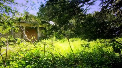 The Restoration Man S01 E05