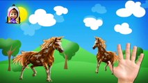 Finger Family Nursery Rhymes for Children Horse Cartoons | Finger Family Children Nursery
