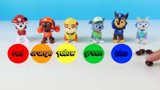 Paw Patrol Learn Colors | Learn to Mix Colors | Learn How to Count Skittles