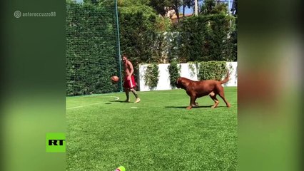 Messi vuelve loco a su enorme perro jugando al fútbol en el jardín de su casa