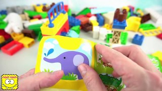Learn Zoo Animal Names for Kids Building Blocks Toys Learn Colors Video for Kindergarten NomNomTOYS