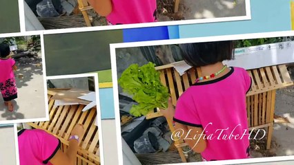 Angora Rabbit Feeding Vegetables Kelinci Angora Kids Activites