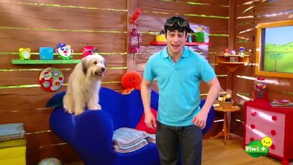 Chanson et comptine pour enfant : MON AMI REQUIN