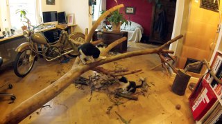 DIY Cat Tree | Cattree | Kratzbaum | D.I.Y. | Karl & Elmo