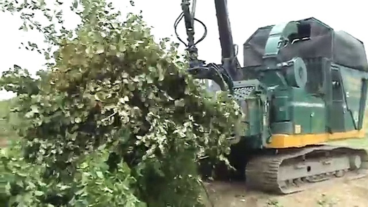 Rare Tree eating Monster Machine