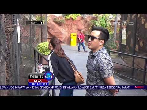 Pelaku Penyembur Asap Vapor ke Hewan Kebun Binatang Mengaku Hanya Iseng - NET 24