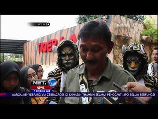 Keseruan Peringatan Hari Harimau Sedunia - NET 10