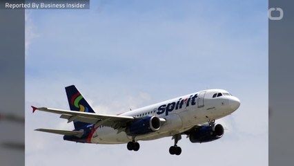 Smell Of "Dirt Socks" Grounded A Spirit Airlines Flight