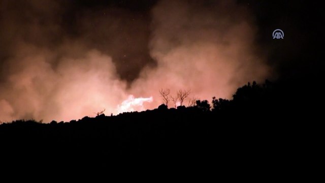 Didim’de makilik alanda yangın - AYDIN