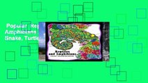 Popular  Reptiles and Amphibians Adult Coloring Books: Snake, Turtle, Lizard, Chameleons,
