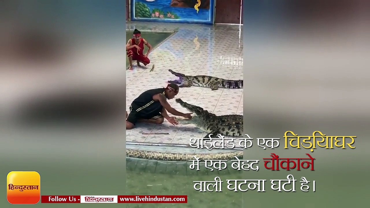 Crocodile Bites Man's Arm in live show