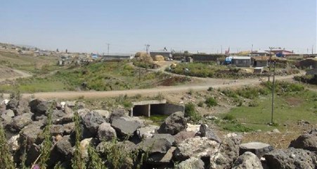 Kars'ta, Kuduz Tilki Köpeğe Saldırdı, Köy Karantinaya Alındı