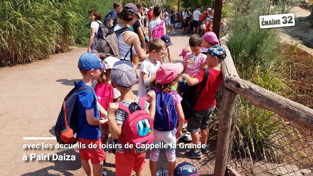 Avec les accueils de loisirs de Cappelle la Grande à Pairi Daiza