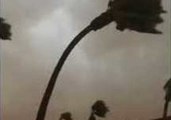 Monsoon Blows Tree Onto Roof of Home in Litchfield Park, Arizona