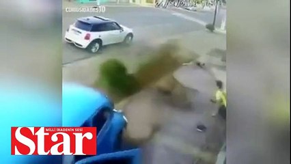 Hayata son anda tutundular