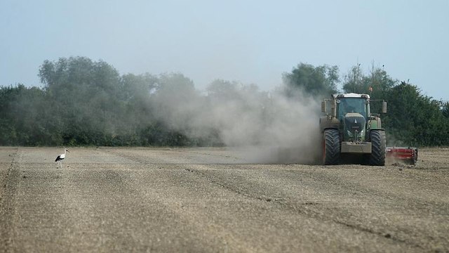 WATCH: Germany's farmers urge government to act as heatwave threatens billions in losses
