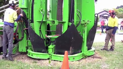 Máy đào cây siêu nhanh | Nhạc thiếu nhi : Em chơi lồng đèn ❤ Tientube TV