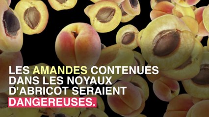 Intoxication : attention aux amandes d'abricot