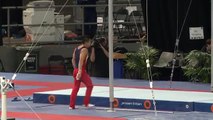 2016 Australian Gymnastics Championships CHRIS REMKES (SA) Rings