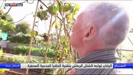 اليابان تواجه مرض الشلل الرعاش بالخلايا الجذعية المحفزة