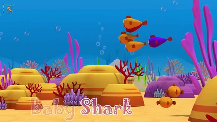 Baby Shark Wake Up Song Animal Songs for Children Nursery Rhymes