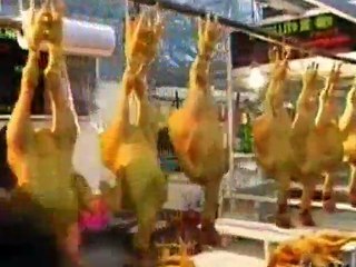 Anthony Bourdain A Cook's Tour - S01E15 - Tamales and Iguana Oaxacan Style