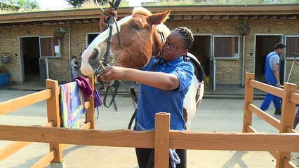Au sud de Londres, un centre équestre comme havre de paix