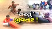 Girsomnath: Heavy rain takes break but Singsar village still waterlogged- Tv9