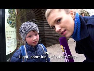 Searching for volunteers at the Berlin Zoo!