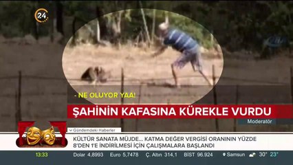 Şahinin kafasına kürekle vurdu