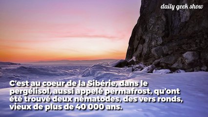 Sibérie : des vers ressuscitent du sol gelé après 42.000 ans