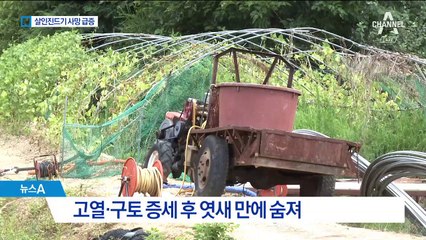 폭염에 ‘살인 진드기’ 비상…물리지 않는 게 최선