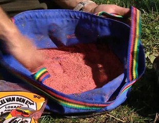 The ​Great Rod Race Catfish Roach & Sea Trout Part.1 (2004)