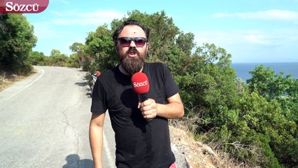 Büyükada'da atlara işkence! İşkence ahırda da devam ediyor