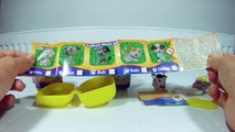 Surprise Eggs toys with the puppy toys. Unboxing surprise eggs