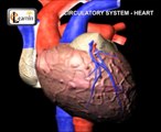 Human circulatory system | Heart working | Human Anatomy and Physiology video 3D | elearni