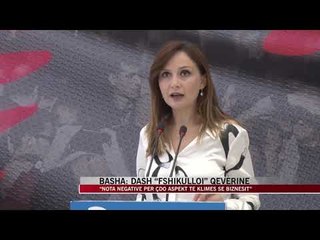 Video herunterladen: Basha: DASH “fshikulloi” qeverinë - News, Lajme - Vizion Plus