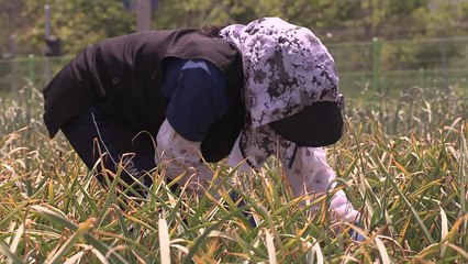 온열질환자 폭증...폭염 취약지수 첫 공개 / YTN