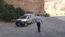 Siirt'te Kuyuya Düşen Yavru Yaban Domuzu Kurtarıldı