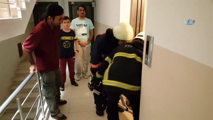 Asansör boşluğuna düşen kediyi itfaiye kurtardı