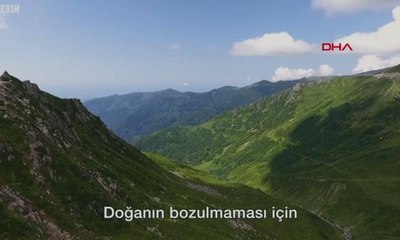 Rize: Köylüler 'doğa bozulmasın' diye yaylaya yol istemedi