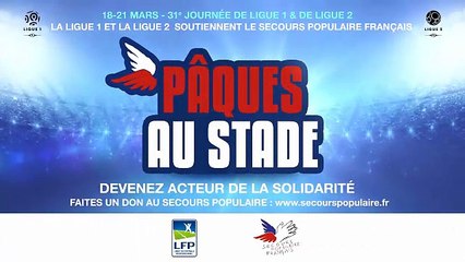 AC Ajaccio - Chamois Niortais (2-0) Résumé J31 [2015-2016]