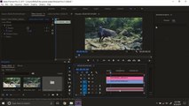 Free Titles / Intros Preset For Premiere Pro CC | Motion Graphic Template
