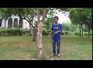 Students Adobe Premiere Pro assignment.. 2