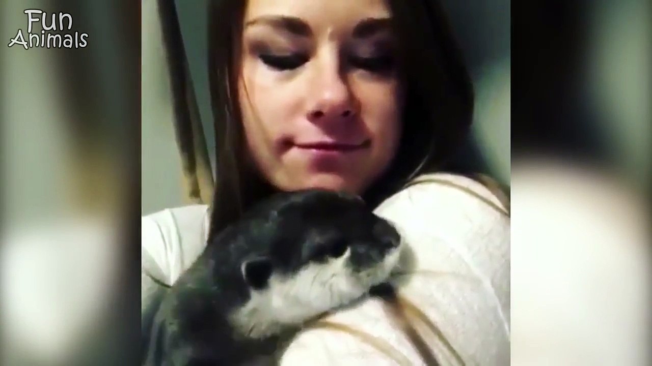 Very Interesting Funny Animals  Compilation Hd Quality