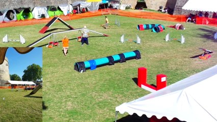 Concours Agility - Citadelle de Blaye