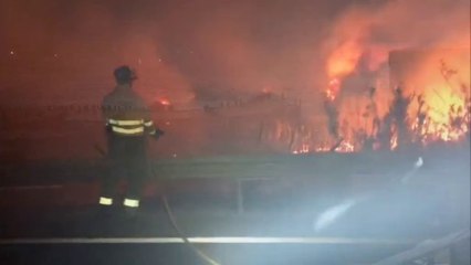 Noticia | Los narcos podrían estar tras el incendio de Manilva, en Málaga